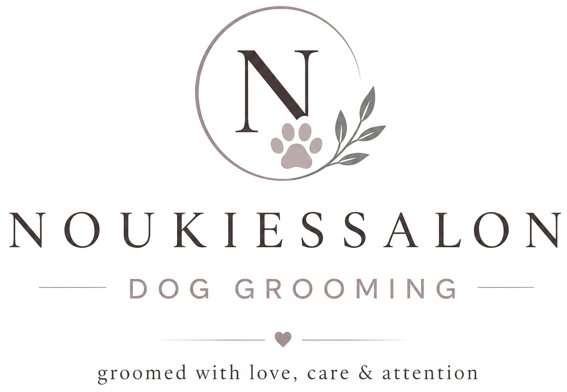Noukiessalon — dog grooming